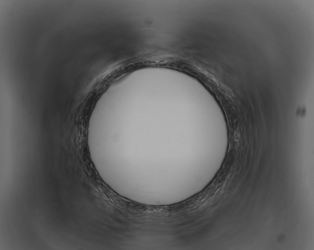 X0000097811447200803140748