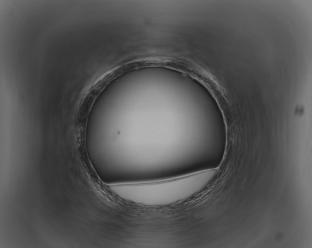 X0000097811448200803140748
