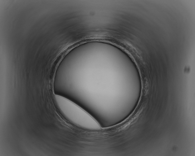X0000097811449200803140748