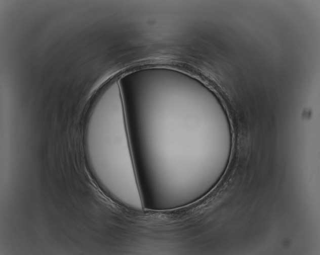 X0000097811450200803140748
