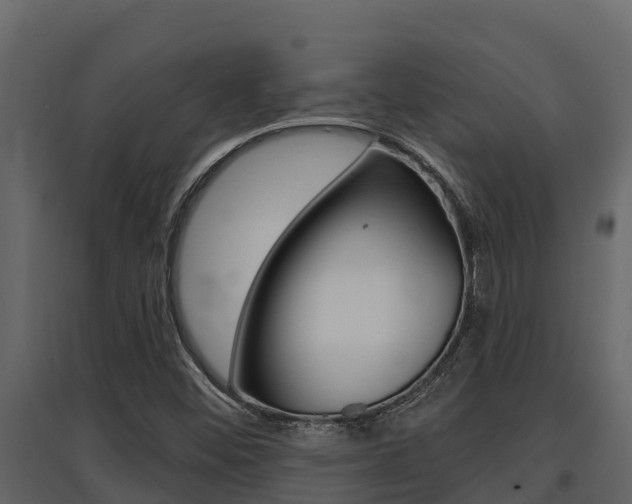 X0000097811452200803140748