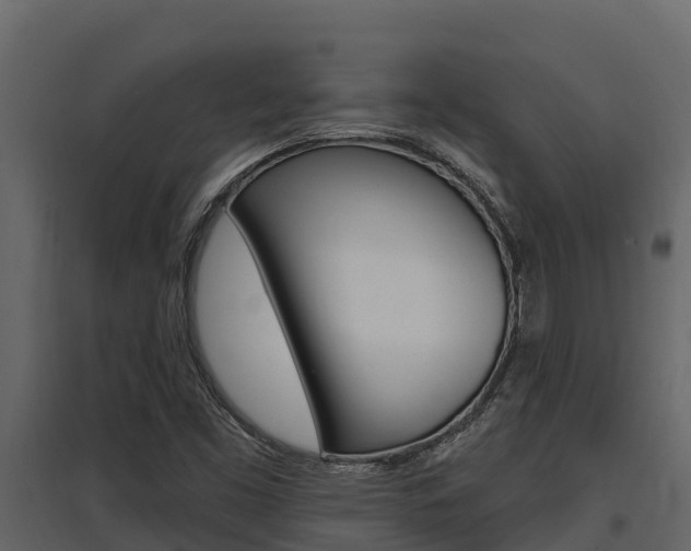 X0000097811453200803140748