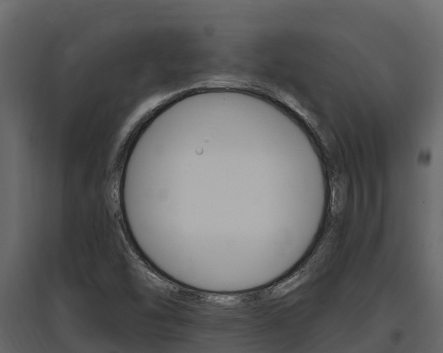 X0000097811454200803140748