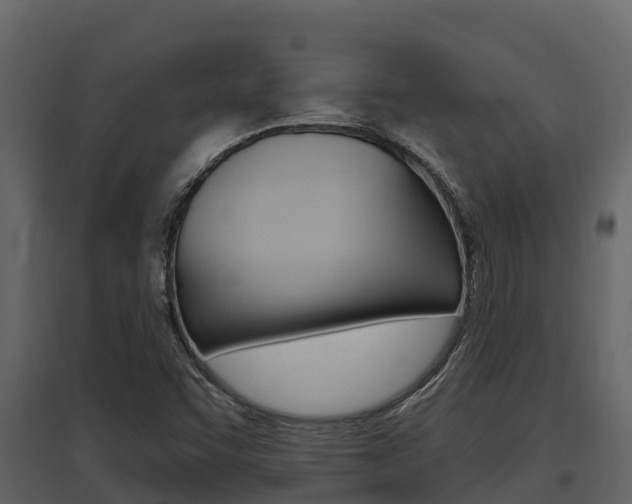 X0000097811455200803140748