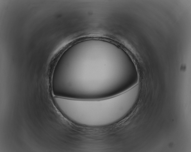 X0000097811456200803140748