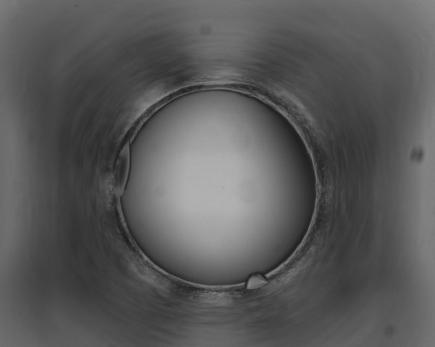 X0000097811457200803140748