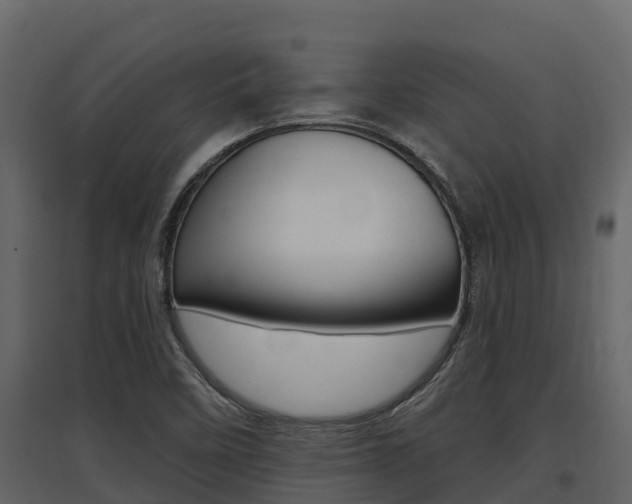 X0000097811458200803140748