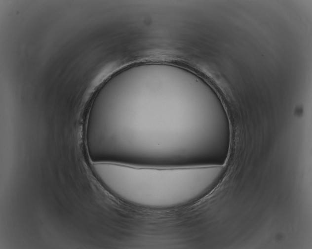 X0000097811459200803140748