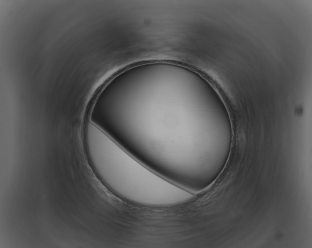 X0000097811460200803140748