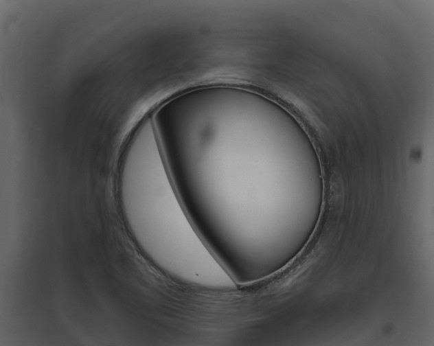 X0000097811461200803140748