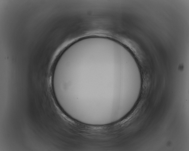 X0000097811462200803140748