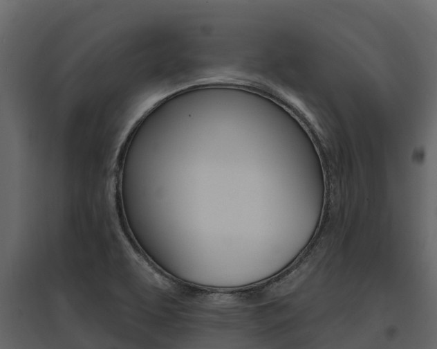 X0000097811463200803140748