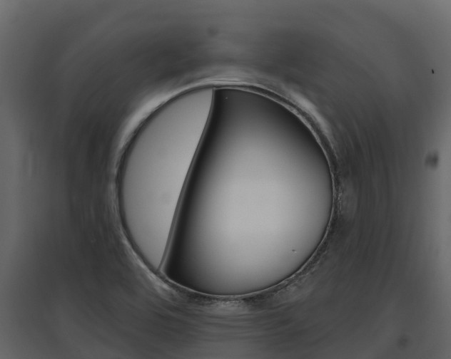 X0000097811464200803140748