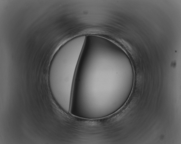 X0000097811465200803140748