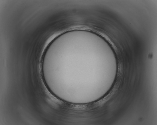 X0000097811466200803140748