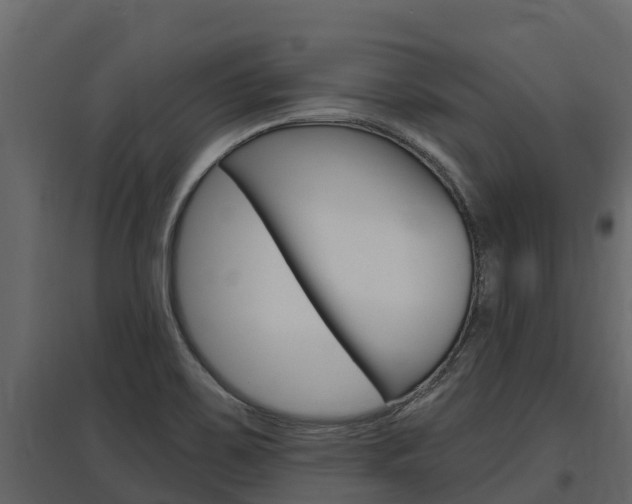 X0000097811467200803140748