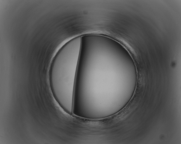 X0000097811468200803140748