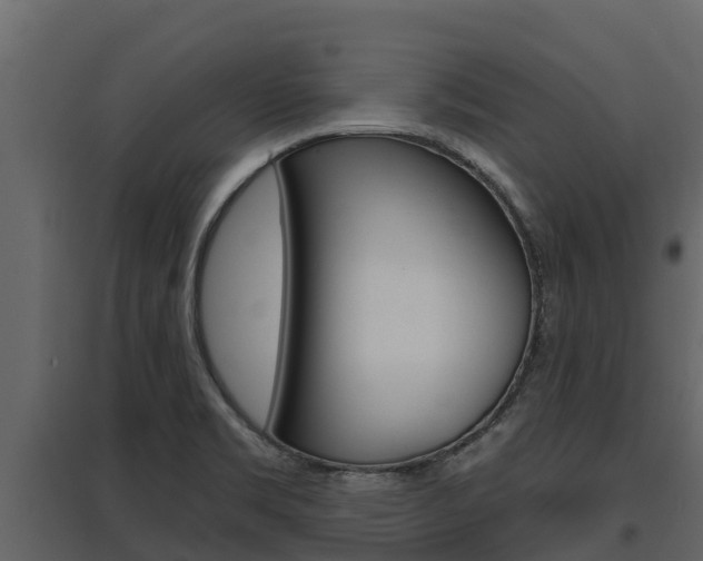 X0000097811469200803140748