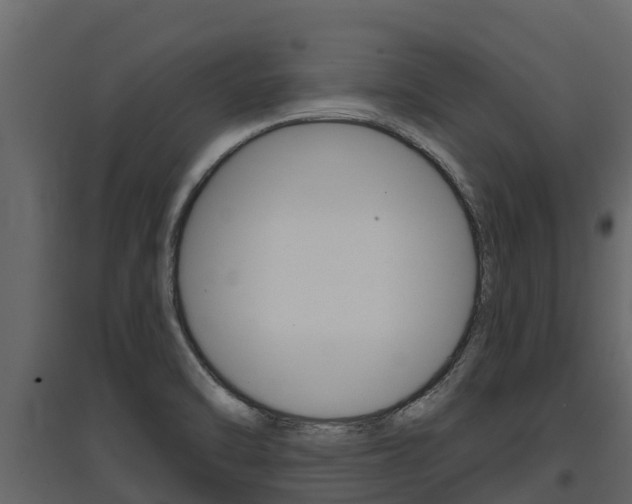 X0000097811470200803140748
