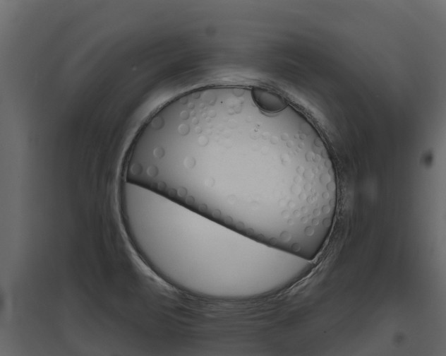 X0000097811471200803140748
