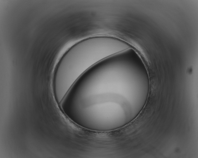 X0000097811472200803140748