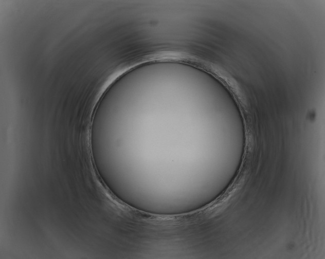 X0000097811473200803140748