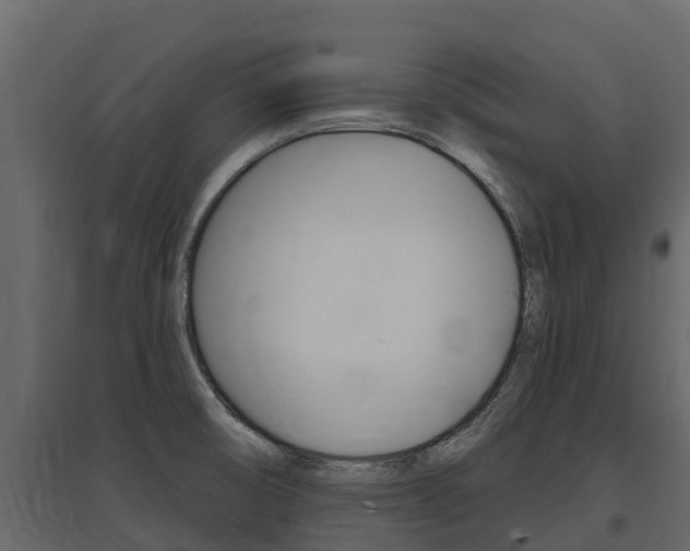 X0000097811474200803140748