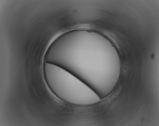 X0000097811475200803140748