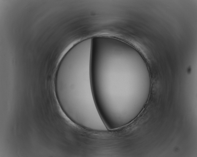 X0000097811476200803140748