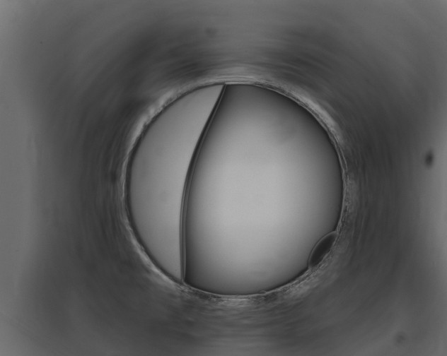 X0000097811477200803140748
