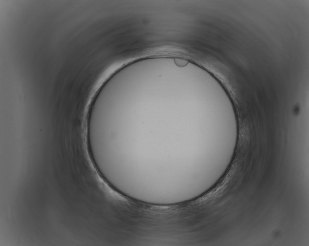 X0000097811478200803140748