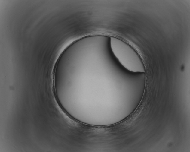 X0000097811479200803140748