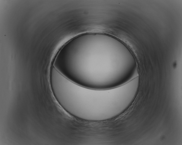 X0000097811480200803140748