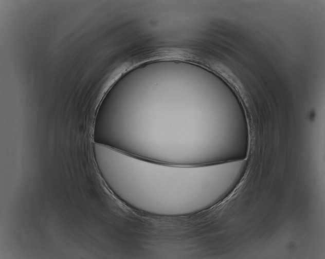 X0000097811481200803140748