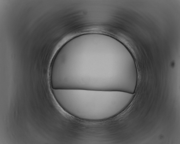 X0000097811482200803140748