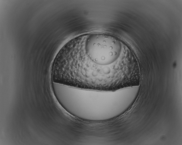 X0000097811483200803140748