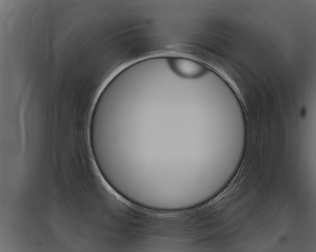 X0000097811484200803140748