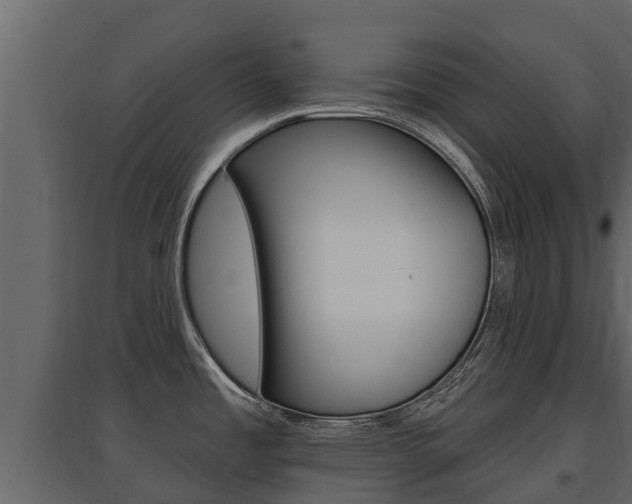 X0000097811485200803140748