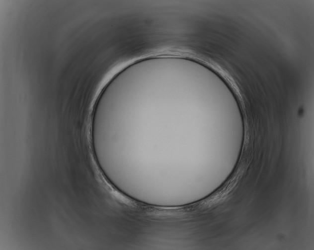 X0000097811486200803140748