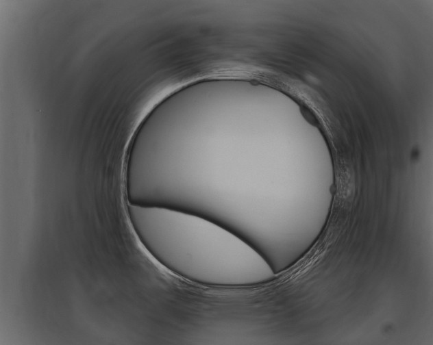 X0000097811487200803140748