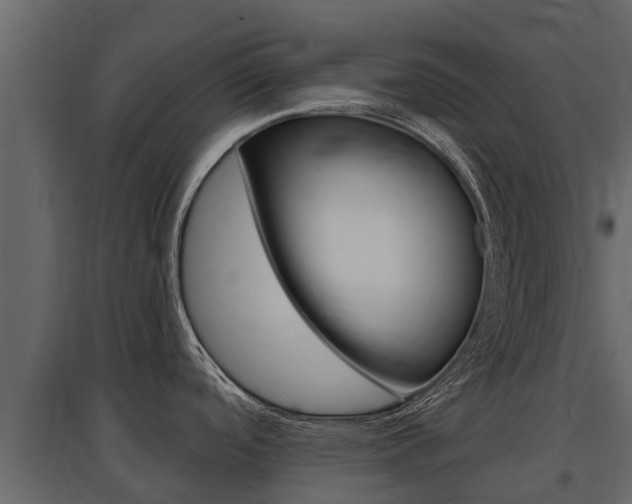 X0000097811488200803140747