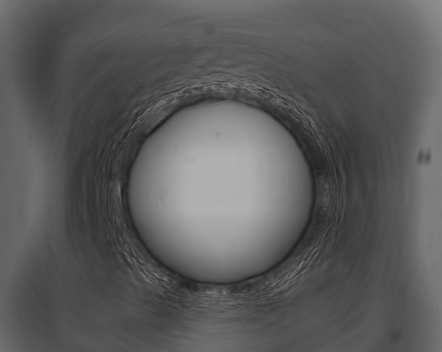 X0000097811489200803140747
