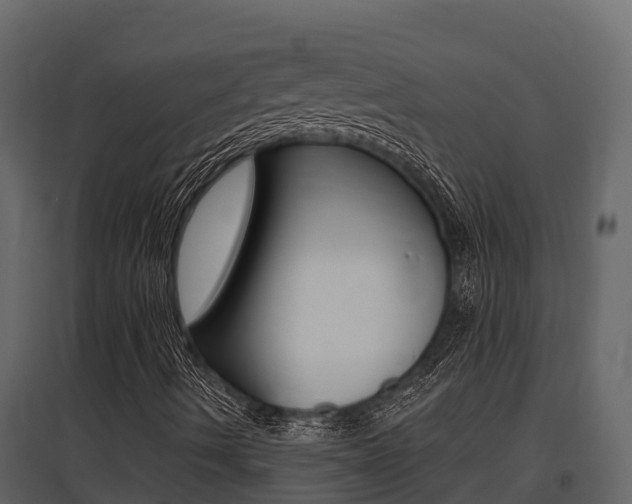 X0000097811490200803140747