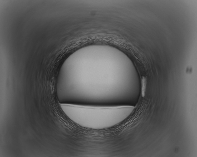 X0000097811491200803140747