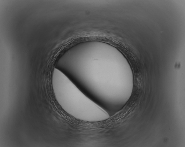 X0000097811493200803140747
