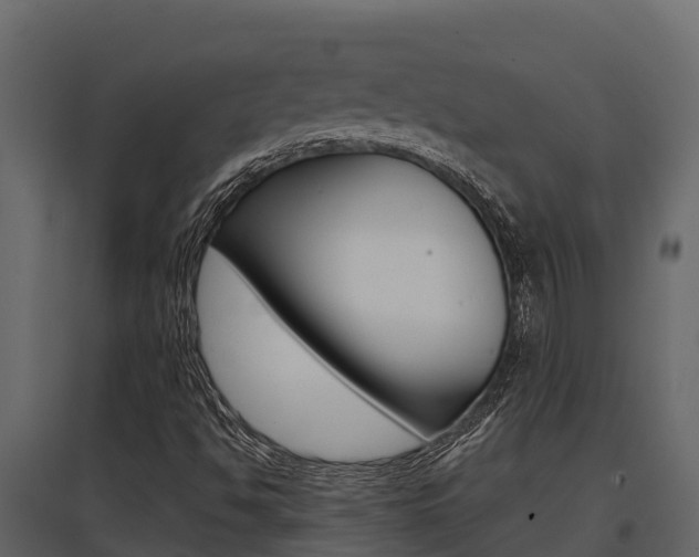 X0000097811494200803140747