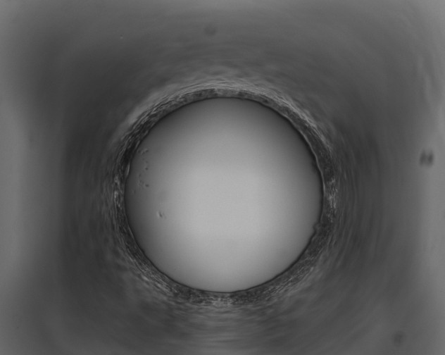 X0000097811495200803140747