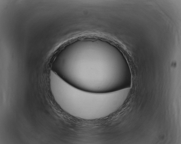 X0000097811496200803140747