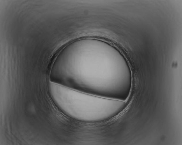 X0000097811497200803140747