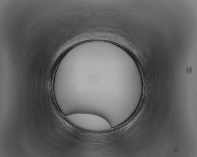 X0000097811498200803140747